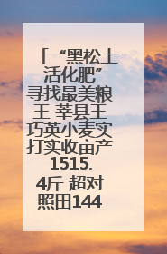 “黑松土 活化肥”寻找最美粮王 莘县王巧英小麦实打实收亩产1515.4斤 超对照田144斤！