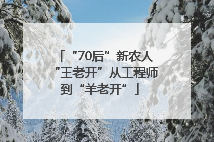 “70后”新农人“王老开”从工程师到“羊老开”