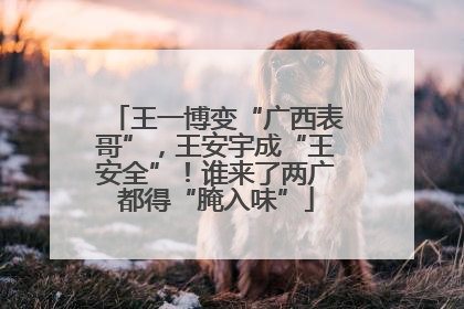 王一博变“广西表哥”，王安宇成“王安全”！谁来了两广都得“腌入味”