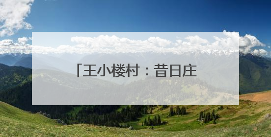 王小楼村：昔日庄稼年年被沙压，今朝粮丰林茂百业兴