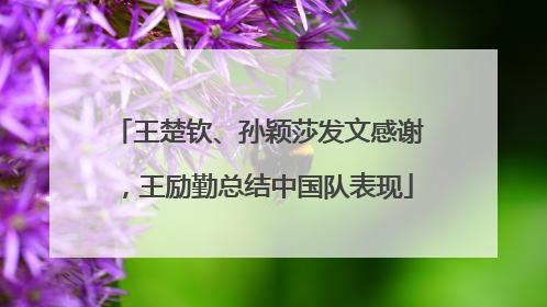 王楚钦、孙颖莎发文感谢，王励勤总结中国队表现