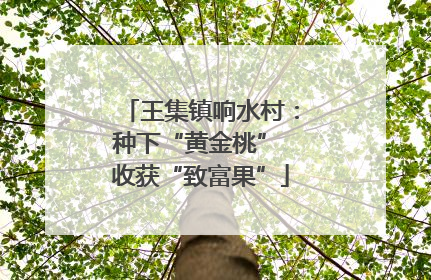 王集镇响水村：种下“黄金桃” 收获“致富果”