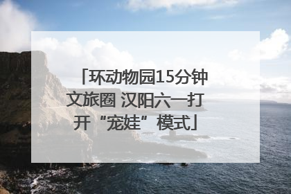 环动物园15分钟文旅圈 汉阳六一打开“宠娃”模式