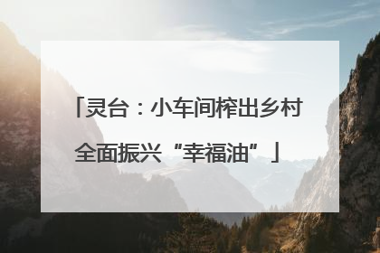 灵台：小车间榨出乡村全面振兴“幸福油”