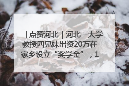点赞河北｜河北一大学教授四兄妹出资20万在家乡设立“奖学金”，13年为320名农村学生种下“希望的种子”
