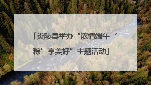 炎陵县举办“浓情端午‘粽’享美好”主题活动