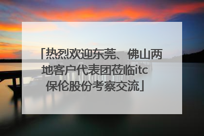 热烈欢迎东莞、佛山两地客户代表团莅临itc保伦股份考察交流