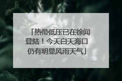 热带低压已在徐闻登陆！今天白天海口仍有明显风雨天气