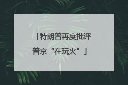 特朗普再度批评普京“在玩火”