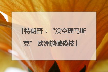 特朗普：“没空理马斯克” 欧洲抛橄榄枝