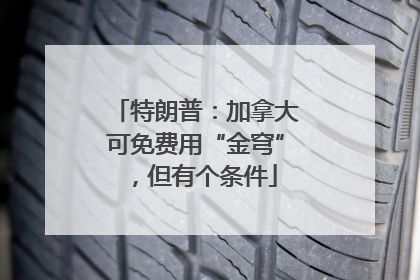 特朗普：加拿大可免费用“金穹”，但有个条件