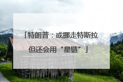 特朗普：或挪走特斯拉 但还会用“星链”