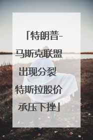 特朗普-马斯克联盟出现分裂 特斯拉股价承压下挫