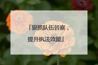 狠抓队伍督察，提升执法效能