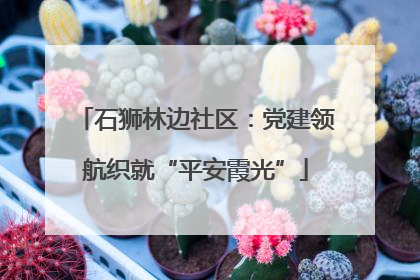石狮林边社区：党建领航织就“平安霞光”