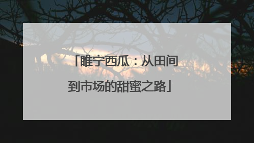 睢宁西瓜：从田间到市场的甜蜜之路