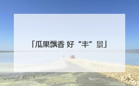 瓜果飘香 好“丰”景