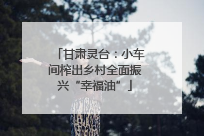 甘肃灵台：小车间榨出乡村全面振兴“幸福油”
