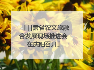 甘肃省农文旅融合发展现场推进会在庆阳召开