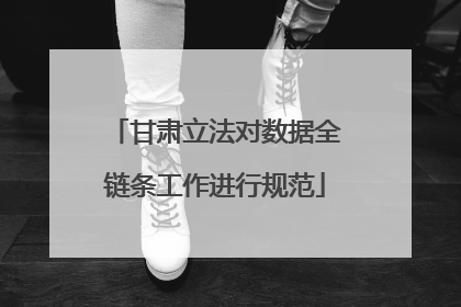 甘肃立法对数据全链条工作进行规范