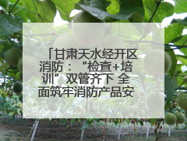 甘肃天水经开区消防：“检查+培训”双管齐下 全面筑牢消防产品安全防线