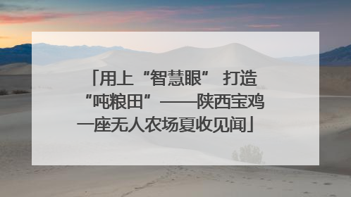 用上“智慧眼” 打造“吨粮田”——陕西宝鸡一座无人农场夏收见闻