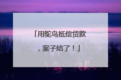 用鸵鸟抵偿货款，案子结了！