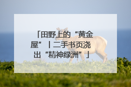 田野上的“黄金屋”丨二手书页浇出“精神绿洲”