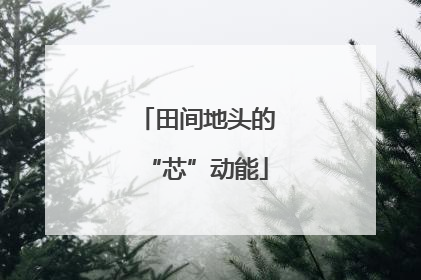 田间地头的“芯”动能