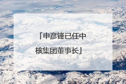 申彦锋已任中核集团董事长