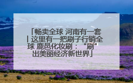 畅卖全球 河南有一套丨这里有一把刷子行销全球 鹿邑化妆刷：“刷”出美丽经济新世界