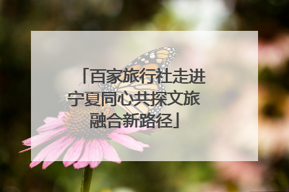 百家旅行社走进宁夏同心共探文旅融合新路径