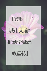 登封：“城市大脑”推动全城高效运转