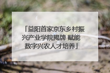 益阳首家京东乡村振兴产业学院揭牌 赋能数字兴农人才培养