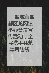 盐城市盐都区龙冈镇举办禁毒宣传活动，全民携手共筑禁毒防线