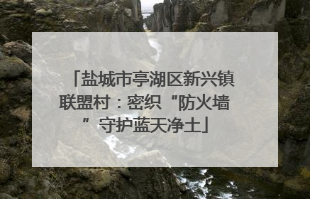 盐城市亭湖区新兴镇联盟村：密织“防火墙”守护蓝天净土