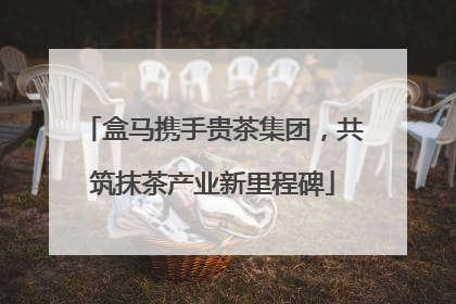 盒马携手贵茶集团，共筑抹茶产业新里程碑