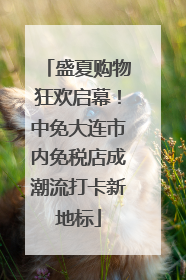 盛夏购物狂欢启幕！中免大连市内免税店成潮流打卡新地标