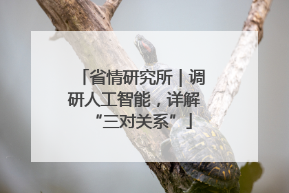 省情研究所｜调研人工智能，详解“三对关系”