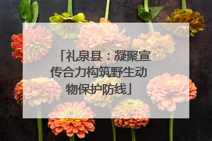 礼泉县：凝聚宣传合力构筑野生动物保护防线