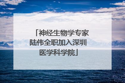 神经生物学专家陆伟全职加入深圳医学科学院