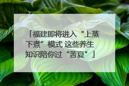 福建即将进入“上蒸下煮”模式 这些养生知识陪你过“苦夏”
