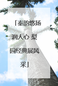 秦韵悠扬润人心 梨园经典展风采