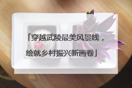穿越武陵最美风景线，绘就乡村振兴新画卷