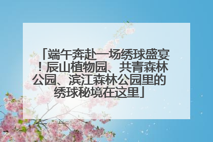 端午奔赴一场绣球盛宴！辰山植物园、共青森林公园、滨江森林公园里的绣球秘境在这里