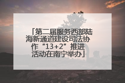 第二届服务西部陆海新通道建设司法协作“13+2”推进活动在南宁举办