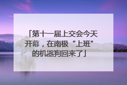 第十一届上交会今天开幕，在南极“上班”的机器狗回来了