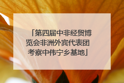 第四届中非经贸博览会非洲外宾代表团考察中伟宁乡基地