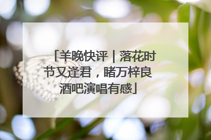 羊晚快评｜落花时节又逢君，睹万梓良酒吧演唱有感