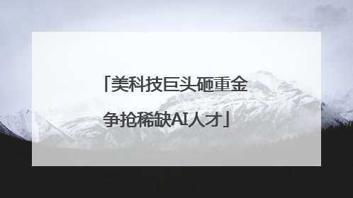 美科技巨头砸重金争抢稀缺AI人才